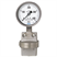 Differential pressure gauge